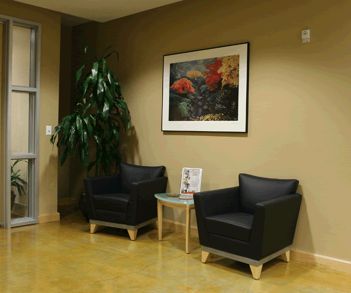 reception area